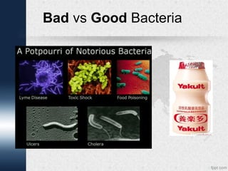 Bad vs Good Bacteria

 