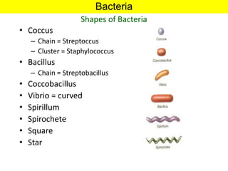Flagella
• Motility - movement
• Swarming occurs with some bacteria
• Arrangement basis for classification
– Monotrichous;...