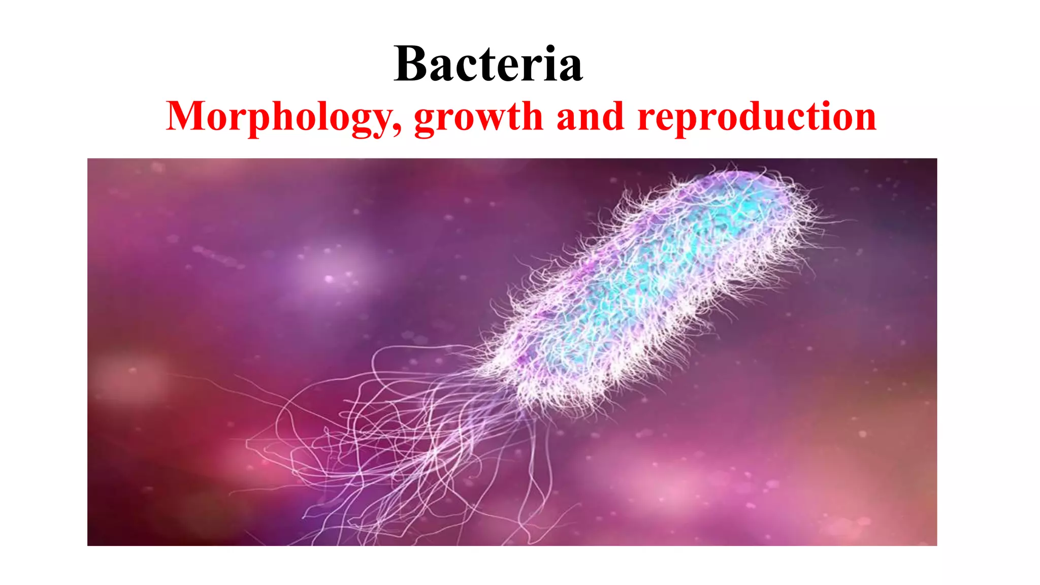 What is bacteria?(Structures Present in Bacteria And their Functions ...