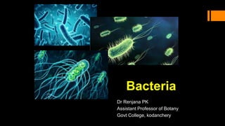 Bacteria
Dr Renjana PK
Assistant Professor of Botany
Govt College, kodanchery
 