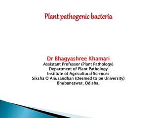 Plant pathogenic bacteria
Dr Bhagyashree Khamari
Assistant Professor (Plant Pathology)
Department of Plant Pathology
Institute of Agricultural Sciences
Siksha O Anusandhan (Deemed to be University)
Bhubaneswar, Odisha.
 