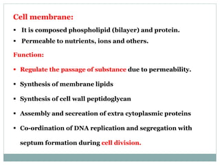 Cell membrane:
 It is composed phospholipid (bilayer) and protein.
 Permeable to nutrients, ions and others.
Function:
 Regulate the passage of substance due to permeability.
 Synthesis of membrane lipids
 Synthesis of cell wall peptidoglycan
 Assembly and secreation of extra cytoplasmic proteins
 Co-ordination of DNA replication and segregation with
septum formation during cell division.
 