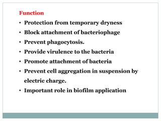 Function
• Protection from temporary dryness
• Block attachment of bacteriophage
• Prevent phagocytosis.
• Provide virulence to the bacteria
• Promote attachment of bacteria
• Prevent cell aggregation in suspension by
electric charge.
• Important role in biofilm application
 