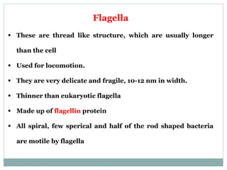 Flagella
 These are thread like structure, which are usually longer
than the cell
 Used for locomotion.
 They are very delicate and fragile, 10-12 nm in width.
 Thinner than eukaryotic flagella
 Made up of flagellin protein
 All spiral, few sperical and half of the rod shaped bacteria
are motile by flagella
 
