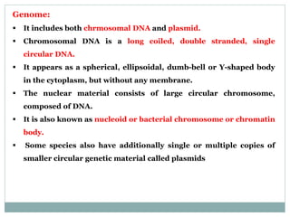 Genome:
 It includes both chrmosomal DNA and plasmid.
 Chromosomal DNA is a long coiled, double stranded, single
circular DNA.
 It appears as a spherical, ellipsoidal, dumb-bell or Y-shaped body
in the cytoplasm, but without any membrane.
 The nuclear material consists of large circular chromosome,
composed of DNA.
 It is also known as nucleoid or bacterial chromosome or chromatin
body.
 Some species also have additionally single or multiple copies of
smaller circular genetic material called plasmids
 