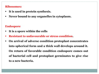 Ribosomes:
 It is used in protein synthesis.
 Never bound to any organelles in cytoplasm.
Endospore
 It is a spore within the cells
 Resistant to unfavourable or stress condition.
 On arrival of adverse condition protoplast concentrates
into spherical form and a thick wall develops around it.
On return of favorable condition endospore comes out
of bacterial cell and protoplast germinates to give rise
to a new bacteria.
 