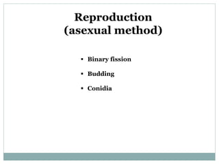 Reproduction
(asexual method)
 Binary fission
 Budding
 Conidia
 