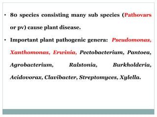 • 80 species consisting many sub species (Pathovars
or pv) cause plant disease.
• Important plant pathogenic genera: Pseudomonas,
Xanthomonas, Erwinia, Pectobacterium, Pantoea,
Agrobacterium, Ralstonia, Burkholderia,
Acidovorax, Clavibacter, Streptomyces, Xylella.
 