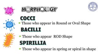 Those who appear in Round or Oval Shape
Those who appear ROD Shape
Those who appear in spring or spiral in shape
 
