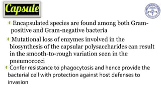 Encapsulated species are found among both Gram-
positive and Gram-negative bacteria
Mutational loss of enzymes involved in the
biosynthesis of the capsular polysaccharides can result
in the smooth-to-rough variation seen in the
pneumococci
Confer resistance to phagocytosis and hence provide the
bacterial cell with protection against host defenses to
invasion
 