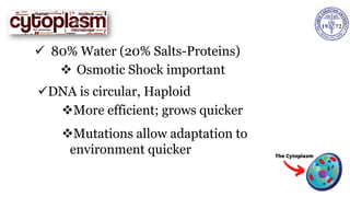 ✓ 80% Water (20% Salts-Proteins)
❖ Osmotic Shock important
✓DNA is circular, Haploid
❖More efficient; grows quicker
❖Mutations allow adaptation to
environment quicker
 