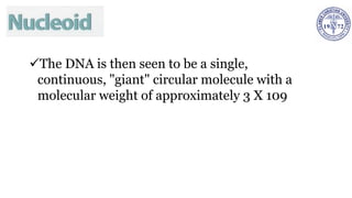 ✓The DNA is then seen to be a single,
continuous, "giant" circular molecule with a
molecular weight of approximately 3 X 109
 
