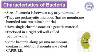 Size of bacteria is between 0.5 to 5 micrometer
They are prokaryotic microbes (has no membrane
bounded nucleus mitochondria)
Have single chromosome as a genetic material.
Enclosed in a rigid cell wall called
peptoglycane
Some bacteria along plasma membrane,
contain an additional membrane called
CAPSULE.
 