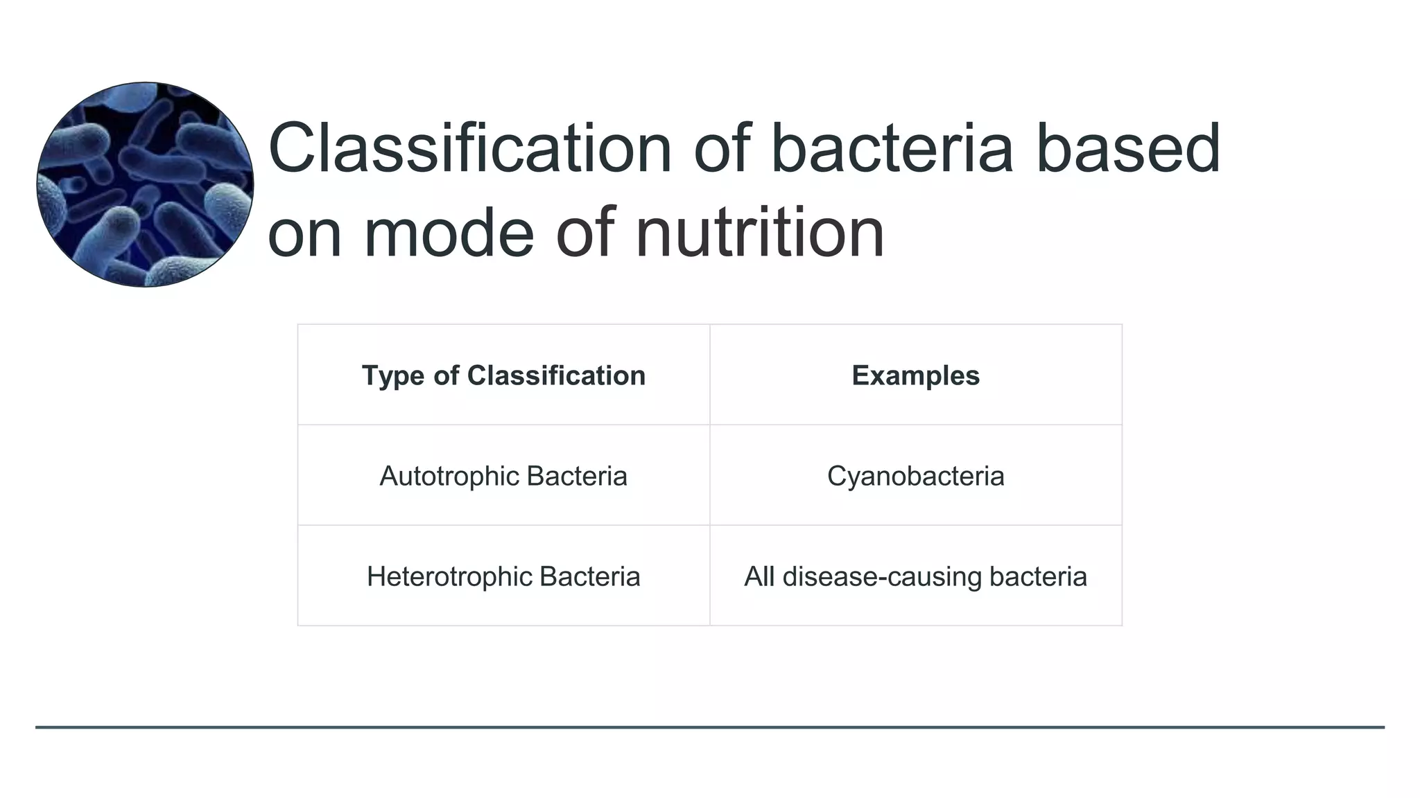 Classification of bacteria based
on mode of nutrition
Type of Classification Examples
Autotrophic Bacteria Cyanobacteria
Heterotrophic Bacteria All disease-causing bacteria
 