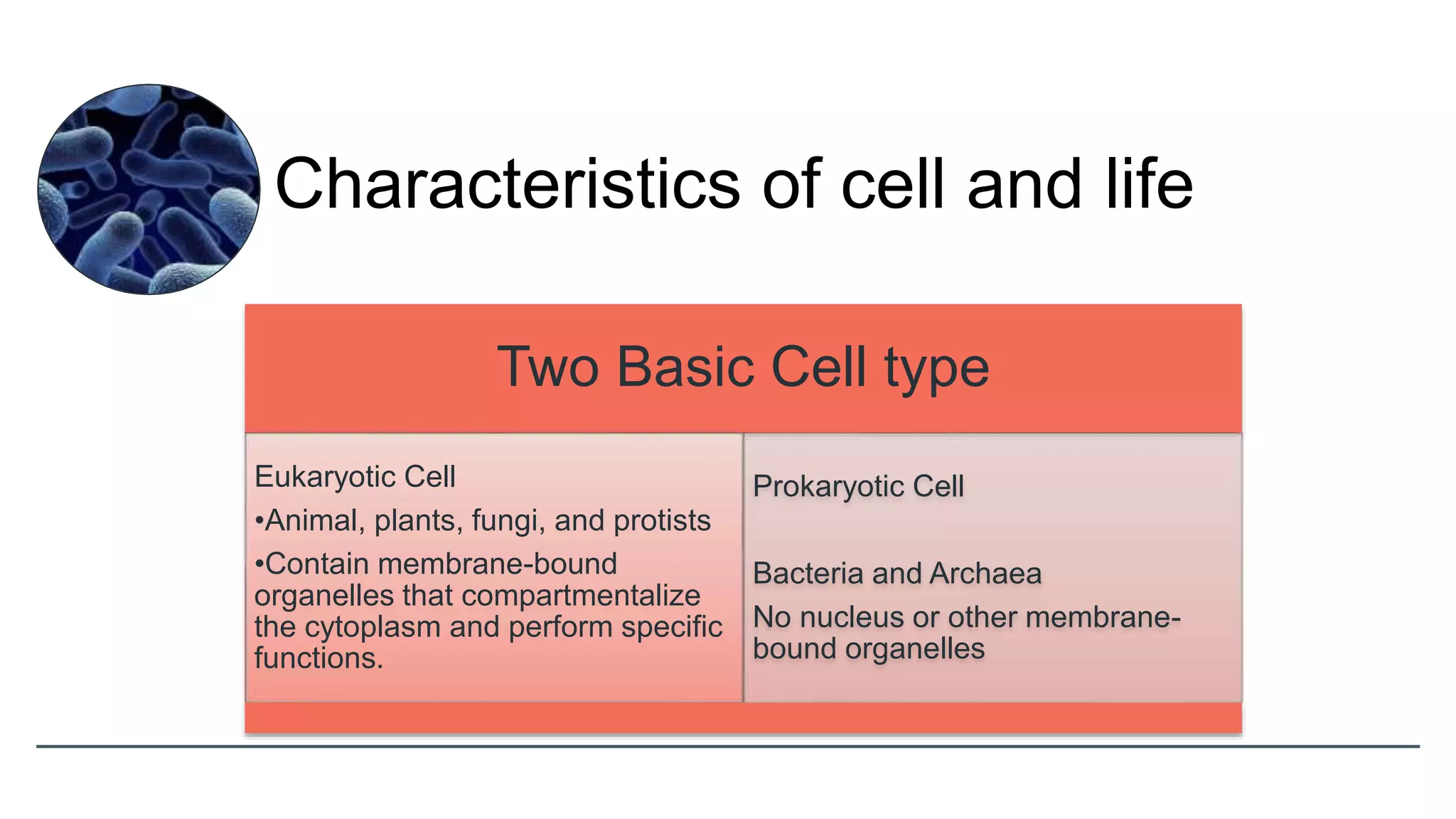 Characteristics of cell and life
Two Basic Cell type
Eukaryotic Cell
•Animal, plants, fungi, and protists
•Contain membrane-bound
organelles that compartmentalize
the cytoplasm and perform specific
functions.
Prokaryotic Cell
Bacteria and Archaea
No nucleus or other membrane-
bound organelles
 