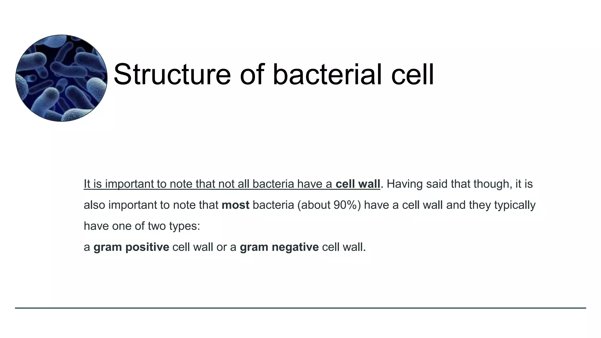 It is important to note that not all bacteria have a cell wall. Having said that though, it is
also important to note that most bacteria (about 90%) have a cell wall and they typically
have one of two types:
a gram positive cell wall or a gram negative cell wall.
Structure of bacterial cell
 