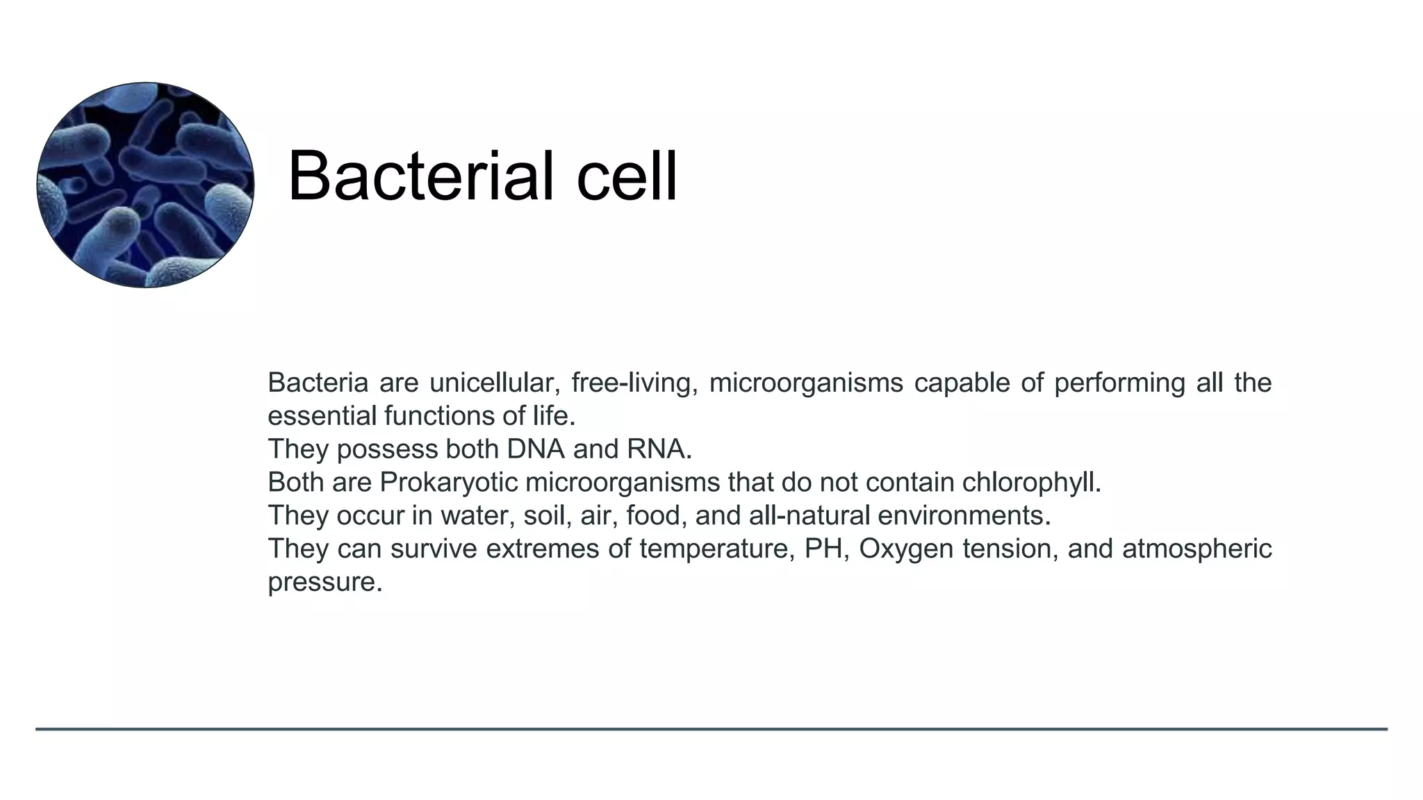 Bacteria are unicellular, free-living, microorganisms capable of performing all the
essential functions of life.
They possess both DNA and RNA.
Both are Prokaryotic microorganisms that do not contain chlorophyll.
They occur in water, soil, air, food, and all-natural environments.
They can survive extremes of temperature, PH, Oxygen tension, and atmospheric
pressure.
Bacterial cell
 
