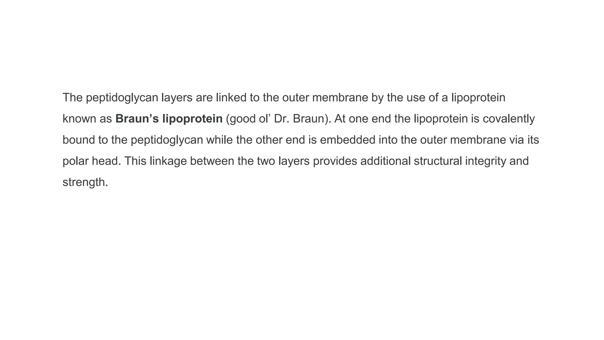 The peptidoglycan layers are linked to the outer membrane by the use of a lipoprotein
known as Braun’s lipoprotein (good ol’ Dr. Braun). At one end the lipoprotein is covalently
bound to the peptidoglycan while the other end is embedded into the outer membrane via its
polar head. This linkage between the two layers provides additional structural integrity and
strength.
 