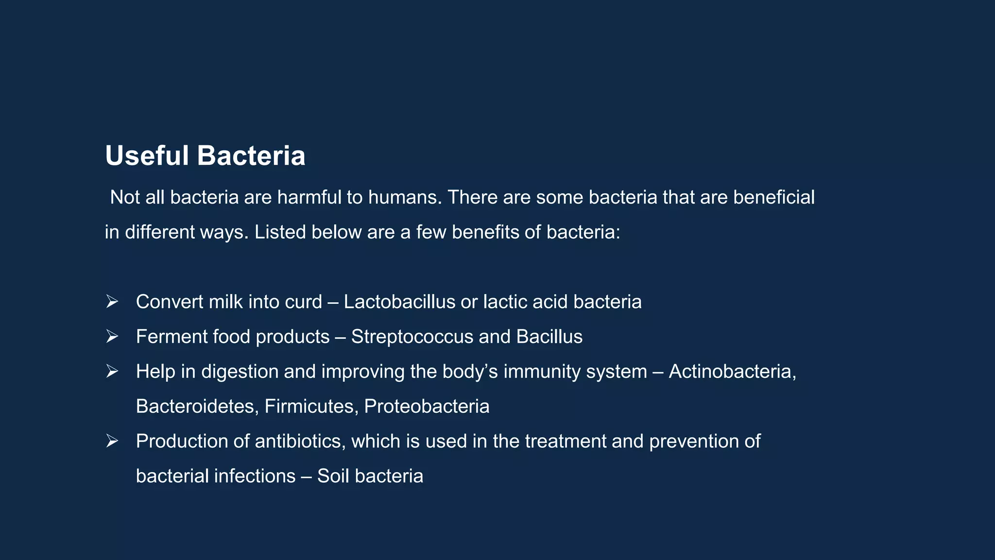 Useful Bacteria
Not all bacteria are harmful to humans. There are some bacteria that are beneficial
in different ways. Listed below are a few benefits of bacteria:
 Convert milk into curd – Lactobacillus or lactic acid bacteria
 Ferment food products – Streptococcus and Bacillus
 Help in digestion and improving the body’s immunity system – Actinobacteria,
Bacteroidetes, Firmicutes, Proteobacteria
 Production of antibiotics, which is used in the treatment and prevention of
bacterial infections – Soil bacteria
 