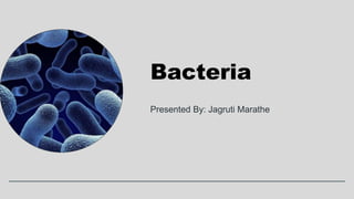 Presented By: Jagruti Marathe
Bacteria
 