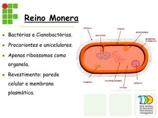 Reino Monera
 Bactérias e Cianobactérias.
 Procariontes e unicelulares.
 Apenas ribossomos como
organela.
 Revestimento: parede
celular e membrana
plasmática.
 
