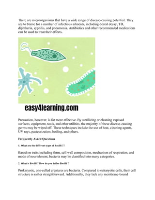 Bacteria.pdf