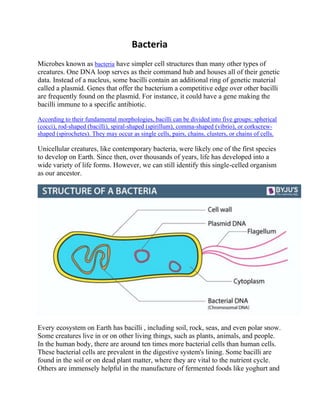 Bacteria
Microbes known as bacteria have simpler cell structures than many other types of
creatures. One DNA loop serves as their command hub and houses all of their genetic
data. Instead of a nucleus, some bacilli contain an additional ring of genetic material
called a plasmid. Genes that offer the bacterium a competitive edge over other bacilli
are frequently found on the plasmid. For instance, it could have a gene making the
bacilli immune to a specific antibiotic.
According to their fundamental morphologies, bacilli can be divided into five groups: spherical
(cocci), rod-shaped (bacilli), spiral-shaped (spirillum), comma-shaped (vibrio), or corkscrew-
shaped (spirochetes). They may occur as single cells, pairs, chains, clusters, or chains of cells.
Unicellular creatures, like contemporary bacteria, were likely one of the first species
to develop on Earth. Since then, over thousands of years, life has developed into a
wide variety of life forms. However, we can still identify this single-celled organism
as our ancestor.
Every ecosystem on Earth has bacilli , including soil, rock, seas, and even polar snow.
Some creatures live in or on other living things, such as plants, animals, and people.
In the human body, there are around ten times more bacterial cells than human cells.
These bacterial cells are prevalent in the digestive system's lining. Some bacilli are
found in the soil or on dead plant matter, where they are vital to the nutrient cycle.
Others are immensely helpful in the manufacture of fermented foods like yoghurt and
 