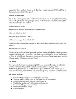 Bacteria Pdf