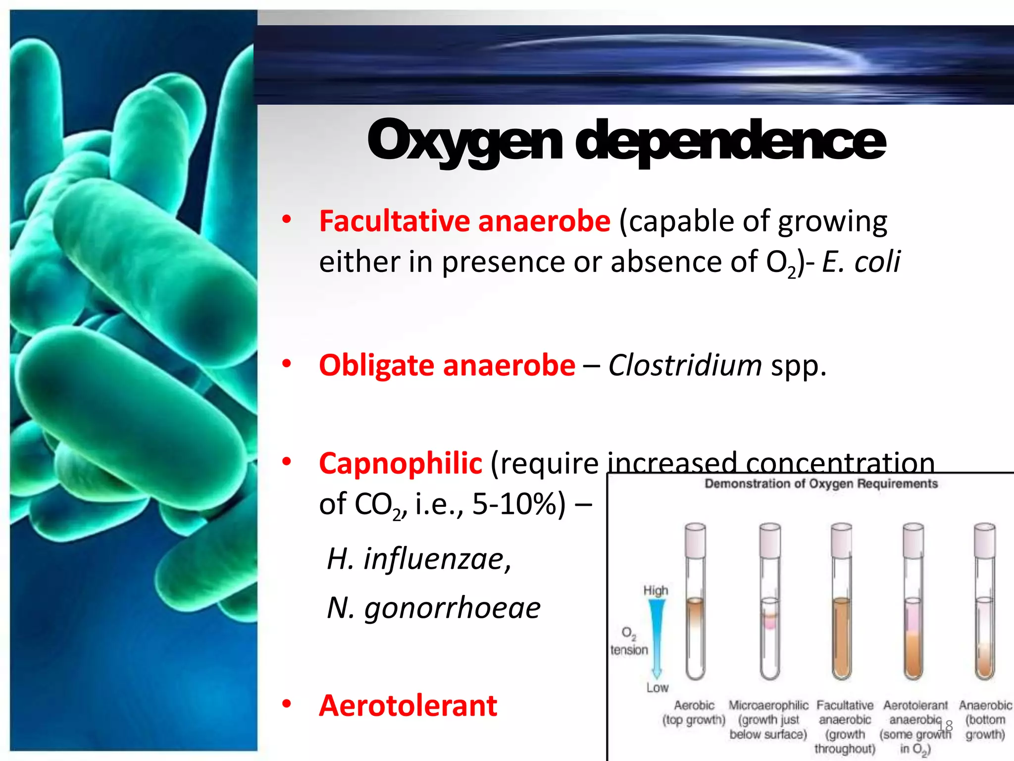 Oxygendependence
• Facultative anaerobe (capable of growing
either in presence or absence of O2)- E. coli
• Obligate anaerobe – Clostridium spp.
• Capnophilic (require increased concentration
of CO2, i.e., 5-10%) –
H. influenzae,
N. gonorrhoeae
• Aerotolerant 18
 