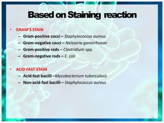 BasedonStaining reaction
11
• GRAM’S STAIN
– Gram-positive cocci – Staphylococcus aureus
– Gram-negative cocci – Neisseria gonorrhoeae
– Gram-positive rods – Clostridium spp.
– Gram-negative rods – E. coli
• ACID FAST STAIN
– Acid-fast bacilli –Mycobacterium tuberculosis
– Non-acid-fast bacilli – Staphylococcus aureus
 