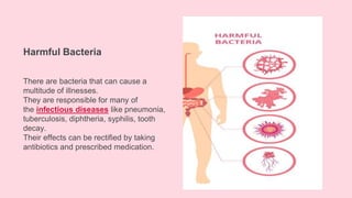 Harmful Bacteria
There are bacteria that can cause a
multitude of illnesses.
They are responsible for many of
the infectious diseases like pneumonia,
tuberculosis, diphtheria, syphilis, tooth
decay.
Their effects can be rectified by taking
antibiotics and prescribed medication.
 