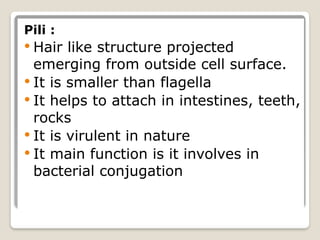 bacteria types and explanation new edit. | PPTX