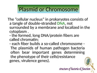 Bacteria, its structure in details with types of bacteria. | PPTX