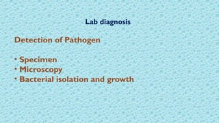 Pathogenic Microbe Lab Unit 3 Pathogenic Microorganisms BACTERIA | PPTX