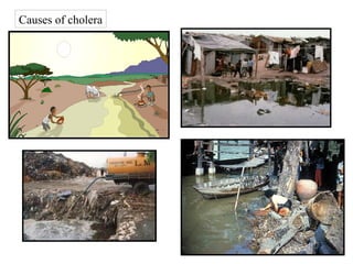 Causes of cholera

 