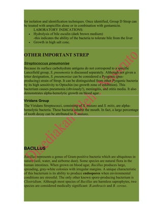 Strep Letters Bacteria - FULL INFO- | DOC