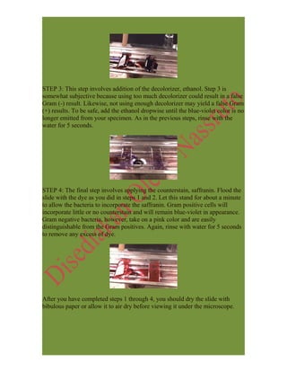 Bacteria - FULL INFO- | DOC