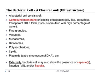Bacteria - General Characters & a Closure Look | PPTX