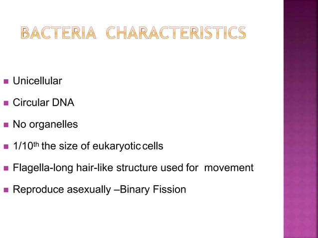 Bacteria Lecture 3 Pptx