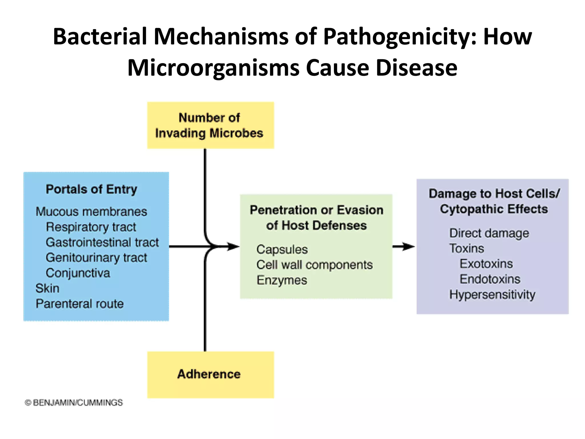 Bacterial Mechanisms of Pathogenicity: How
Microorganisms Cause Disease
 