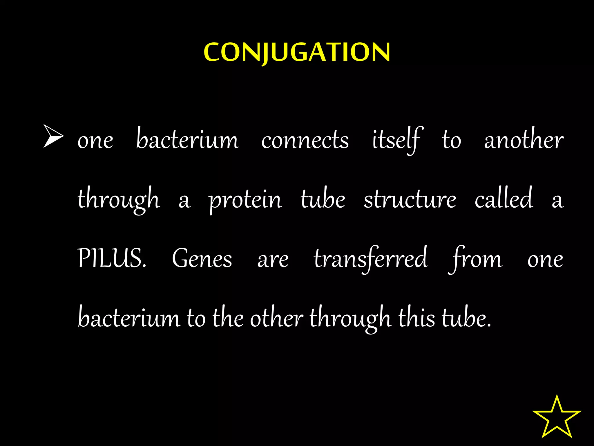 CONJUGATION
 one bacterium connects itself to another
through a protein tube structure called a
PILUS. Genes are transferred from one
bacterium to the other through this tube.
 