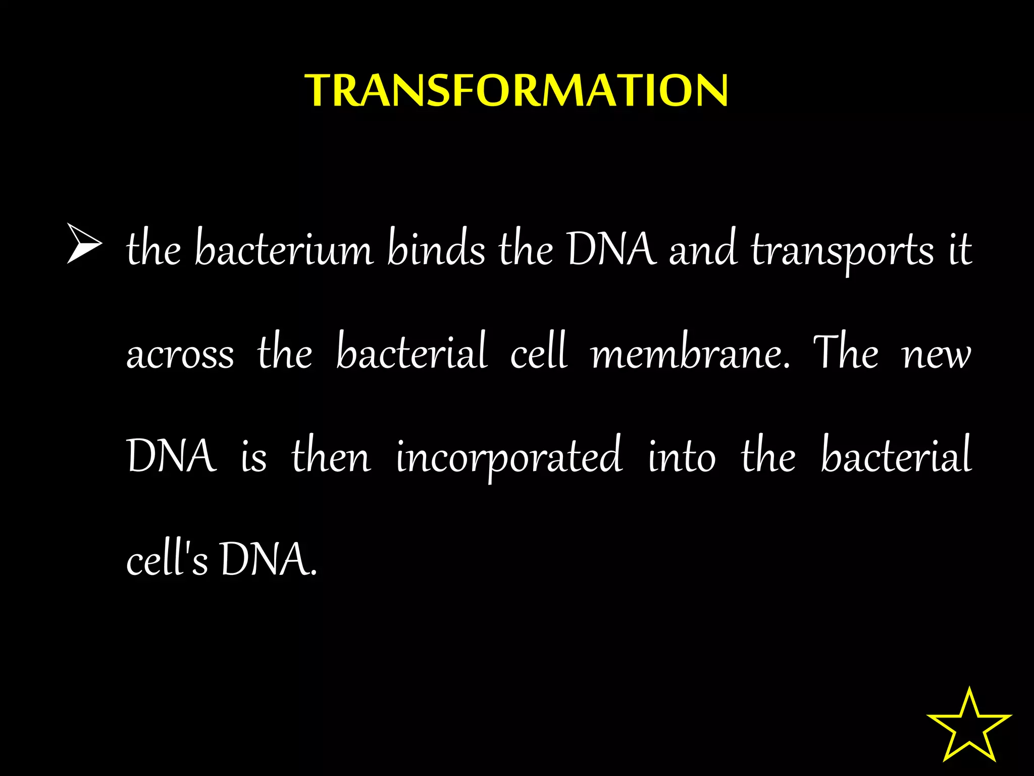 TRANSFORMATION
 the bacterium binds the DNA and transports it
across the bacterial cell membrane. The new
DNA is then incorporated into the bacterial
cell's DNA.
 