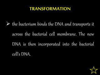 TRANSFORMATION
 the bacterium binds the DNA and transports it
across the bacterial cell membrane. The new
DNA is then incorporated into the bacterial
cell's DNA.
 