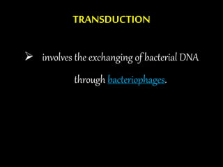 TRANSDUCTION
 involves the exchanging of bacterial DNA
through bacteriophages.
 