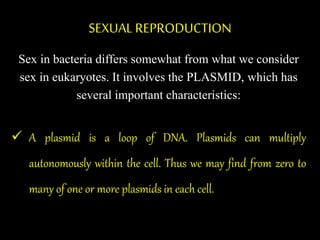 SEXUAL REPRODUCTION
Sex in bacteria differs somewhat from what we consider
sex in eukaryotes. It involves the PLASMID, which has
several important characteristics:
 A plasmid is a loop of DNA. Plasmids can multiply
autonomously within the cell. Thus we may find from zero to
many of one or more plasmids in each cell.
 