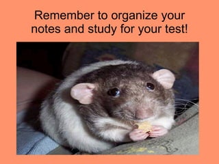 Remember to organize your notes and study for your test! 