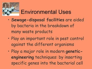 Environmental Uses Sewage-disposal facilities  are aided by bacteria in the breakdown of many waste products  Play an important role in pest control against the different organisms Play a major role in modern  genetic-engineering  techniques: by inserting specific genes into the bacterial cell 