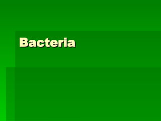 Bacteria 