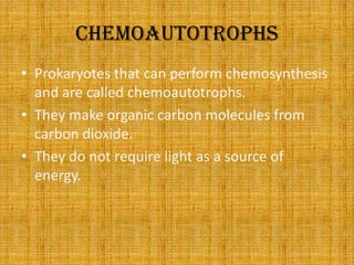 chemoautotrophsProkaryotes that can perform chemosynthesis and are called chemoautotrophs.  They make organic carbon molecules from carbon dioxide.  They do not require light as a source of energy.