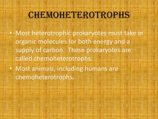 chemoheterotrophsMost heterotrophic prokaryotes must take in organic molecules for both energy and a supply of carbon.  These prokaryotes are called chemoheterotrophs.Most animals, including humans are chemoheterotrophs.